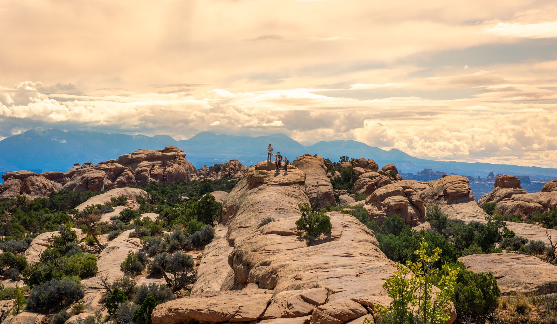 View of Mountains from Desert Plateau